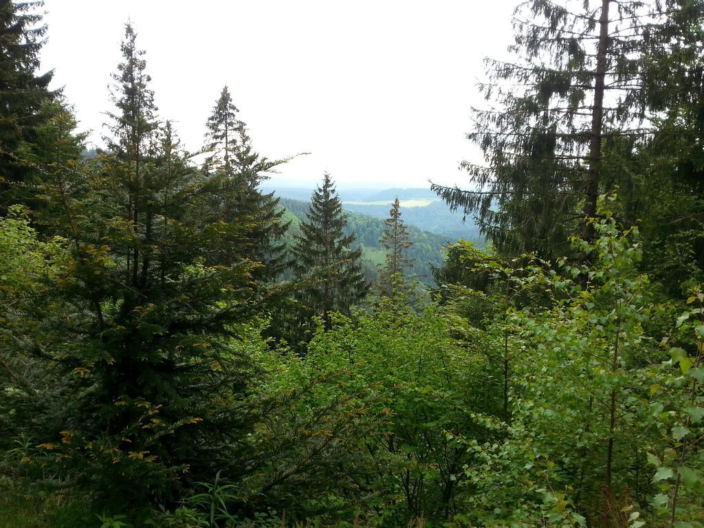 Giteovosges La Croix-aux-Mines Exteriör bild