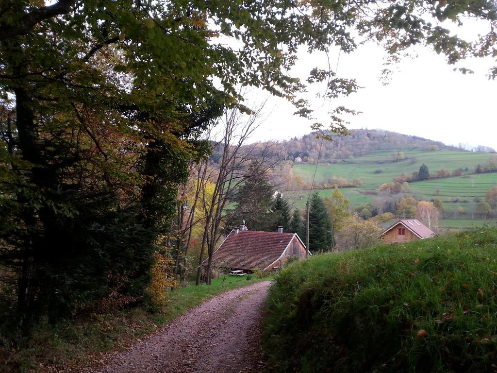 Giteovosges La Croix-aux-Mines Exteriör bild