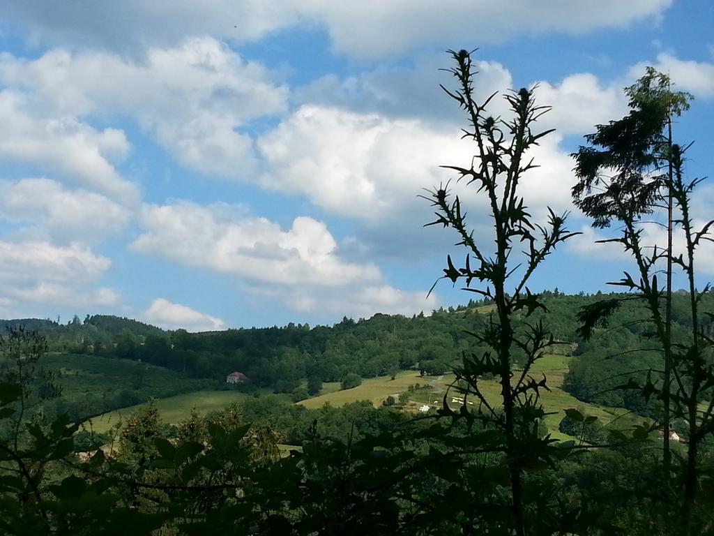 Giteovosges La Croix-aux-Mines Exteriör bild