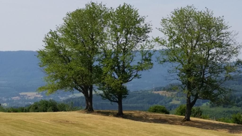 Giteovosges La Croix-aux-Mines Exteriör bild
