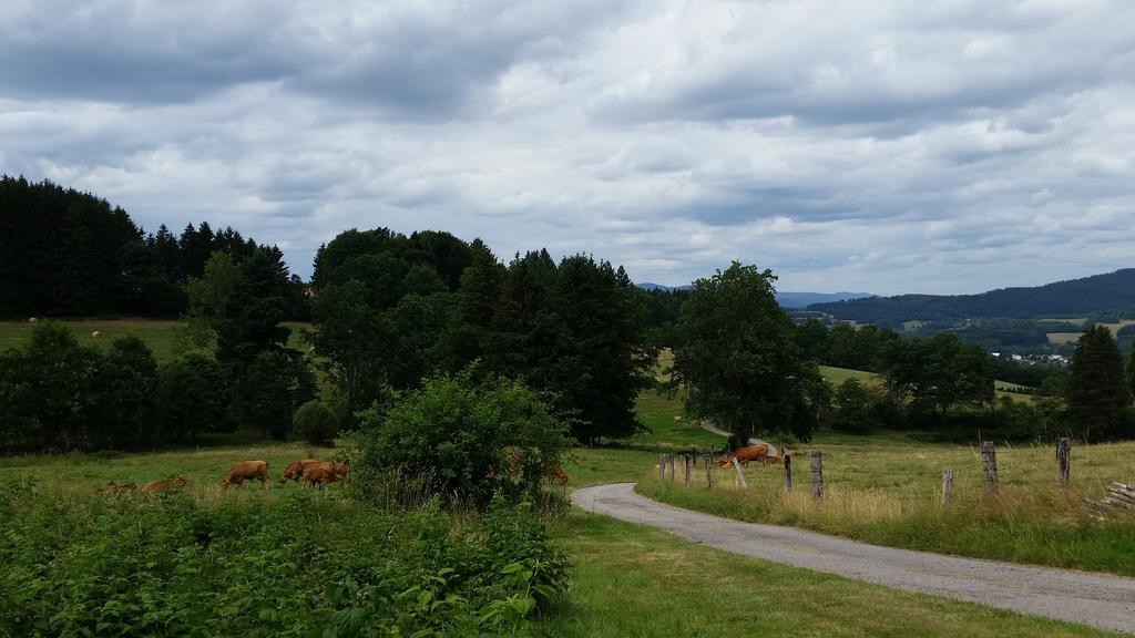 Giteovosges La Croix-aux-Mines Exteriör bild