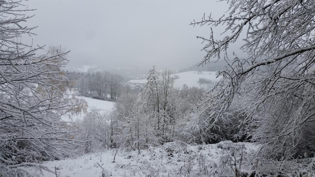 Giteovosges La Croix-aux-Mines Exteriör bild